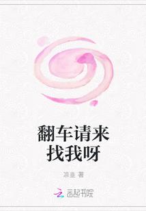 翻车须知免费阅读