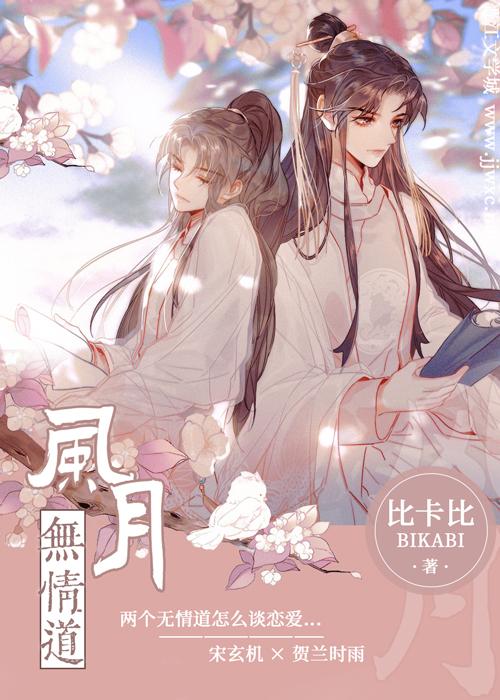 风月无情道番外笔趣阁
