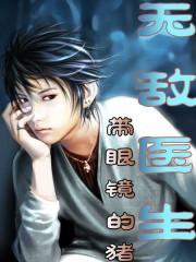无敌医圣电视剧免费观看