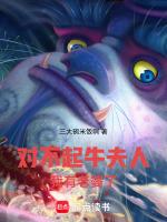 牛夫人