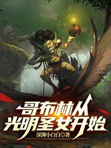 哥布林从光明圣女开始 深渊小白白