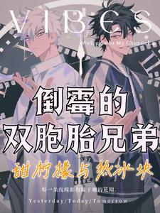 双胞胎兄弟失联