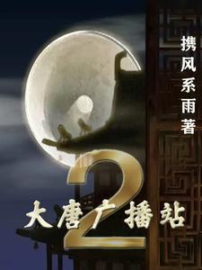 大唐广播站 携风系雨