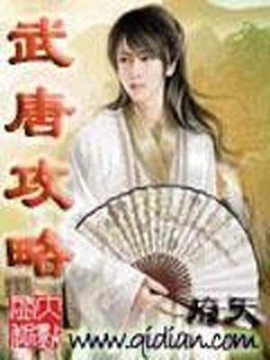 武唐攻略TXT精校