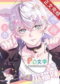 不准觊觎漂亮小猫咪无限