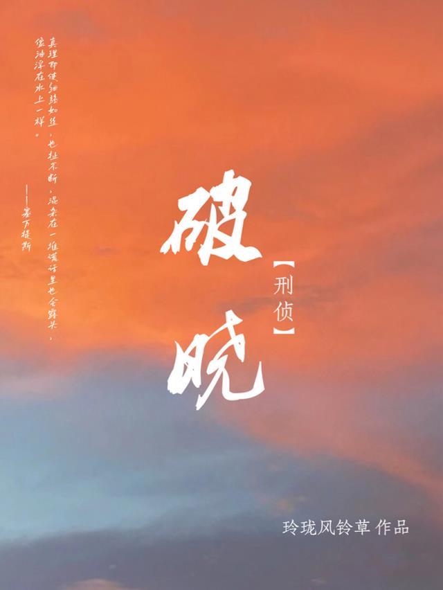 破案刑警电视剧大全