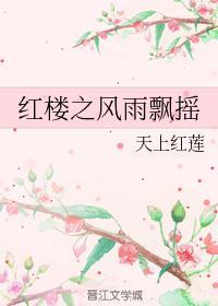 红楼之风云