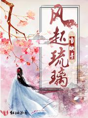 风起琉璃电视剧