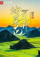 油菜花又开了的朋友圈