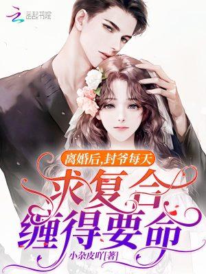 封少离婚请放手免费阅读