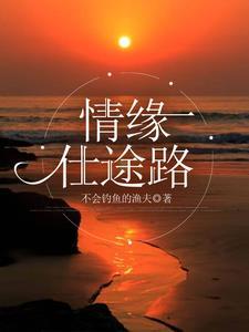 仕途之路全文阅读免