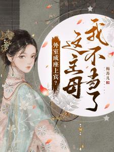 外室成妻免费阅读全文无防盗