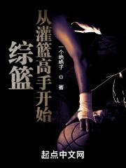 综篮从灌篮高手开始TXT