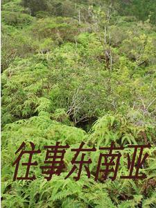 缅北难民涌入中国