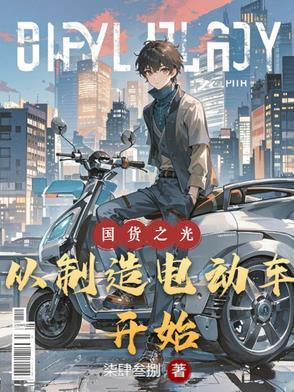 电动车国产车是什么意思