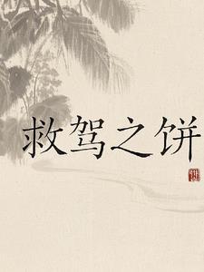 救驾有功什么意思