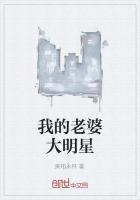 我老婆大明星