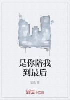 可以不是你陪我到最后