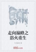 走向巅峰什么意思