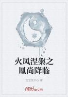 凤凰涅槃之火的电视剧