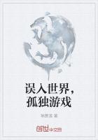 一个误入世界的孤独灵魂