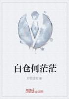 白茫茫是什么意思解释