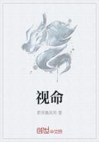 视命如戏