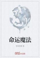 命运魔法箱用什么附魔