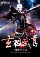 玄武战尊境界