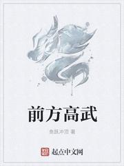 前方高能啥意思?