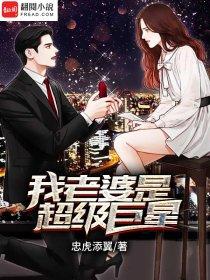 我的老婆是巨星 愤怒小鸟