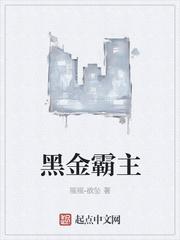 霸攻黑金无敌海报