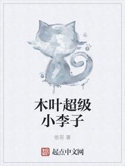木叶飞人小李带什么秘卷