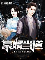 豪婿当道 禅岚