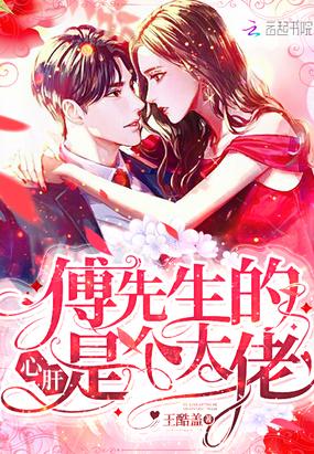 傅先生心肝宝是大佬