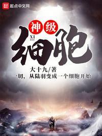 神级细胞的功能单位是什么