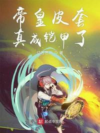 帝皇侠铠甲皮套多少钱