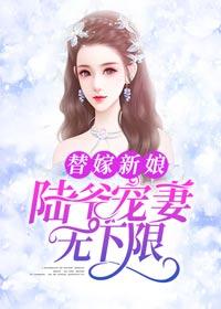 叶知晗陆沉言