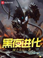 黑夜进化