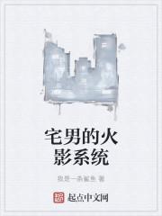 宅男的火影系统