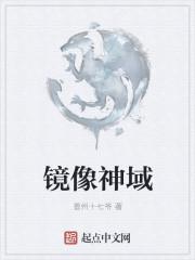 镜像神域