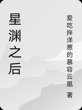 星渊之后