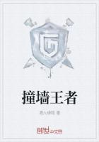 撞墙王者