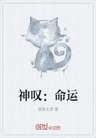 神叹：命运